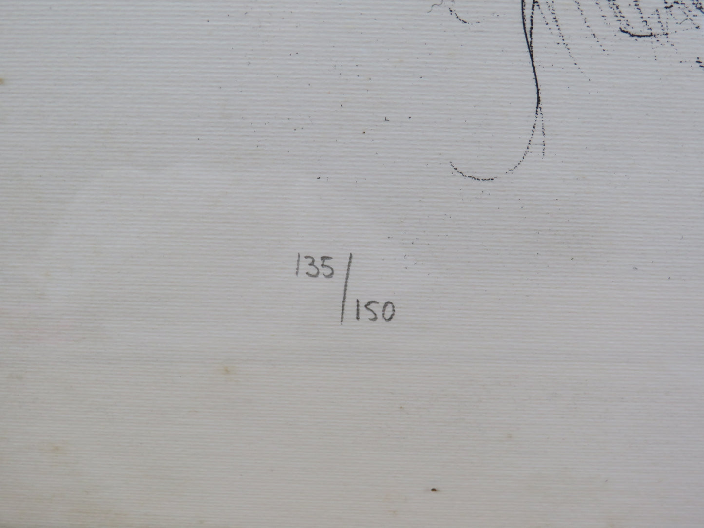 49148077