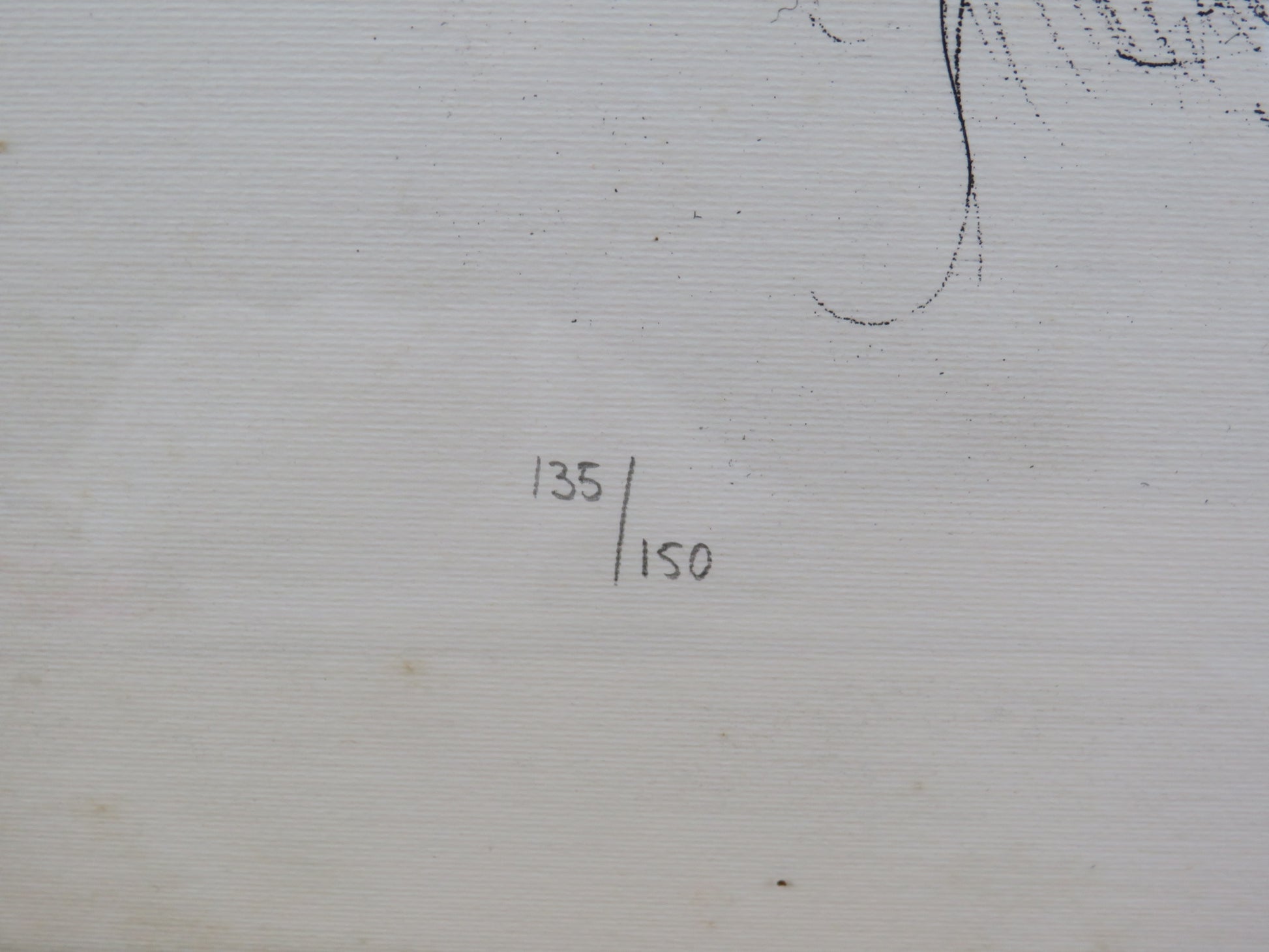 49148077