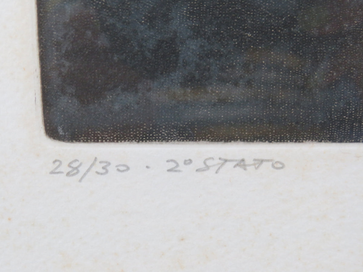 49148128