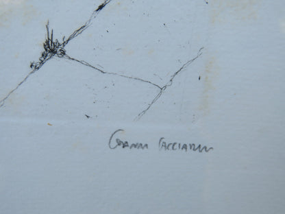 49148170