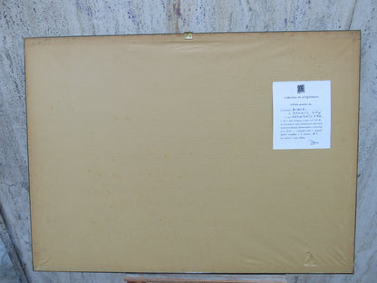 49148181