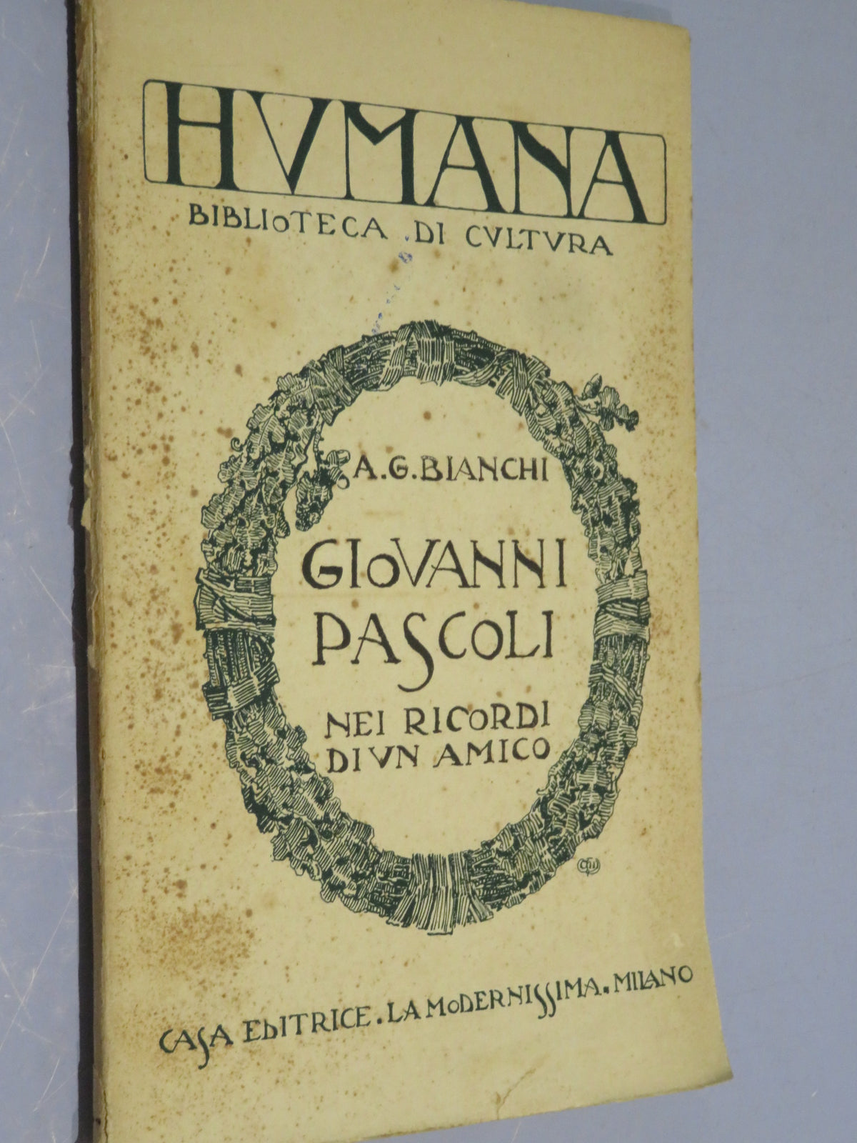 49798462