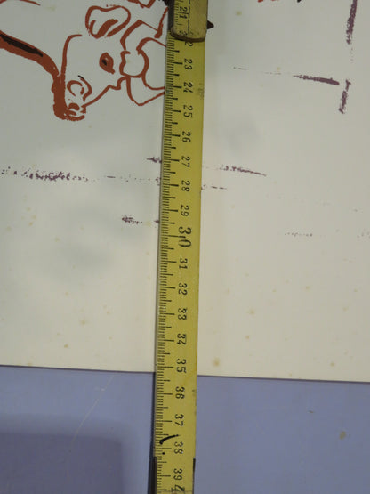 50403125