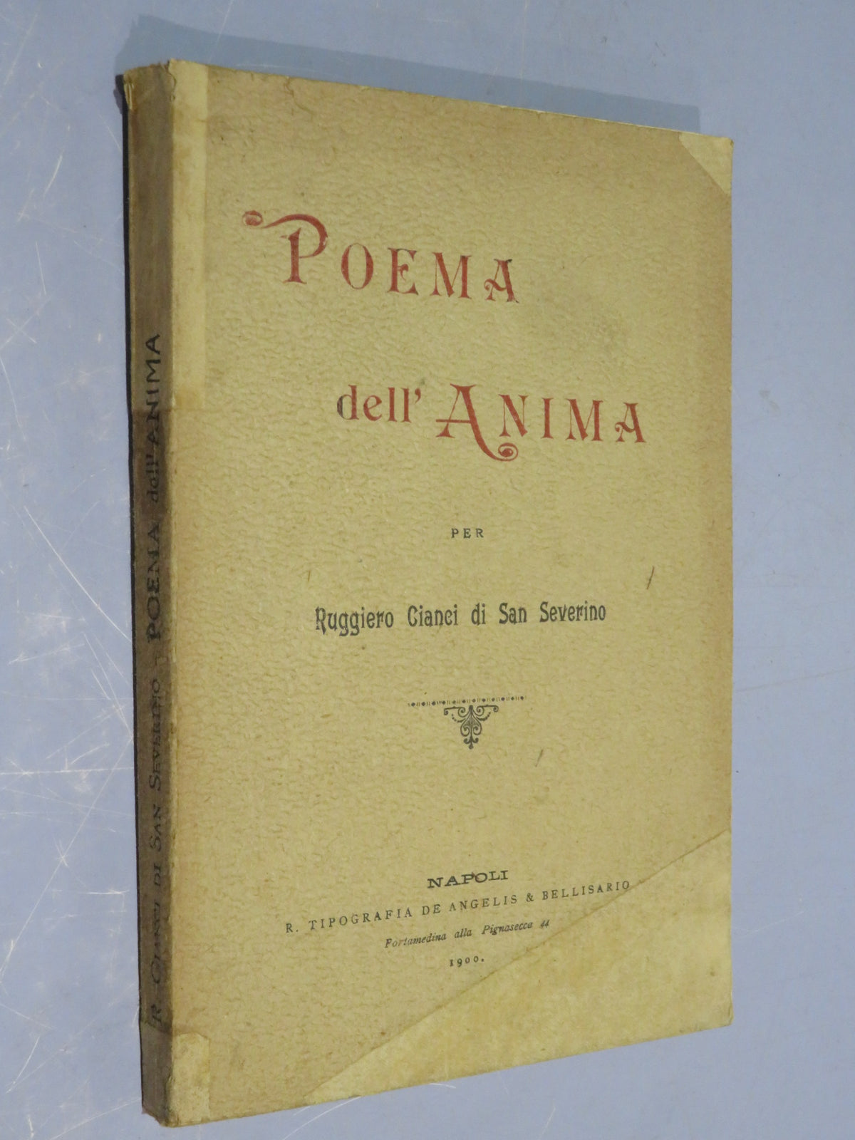 50510669