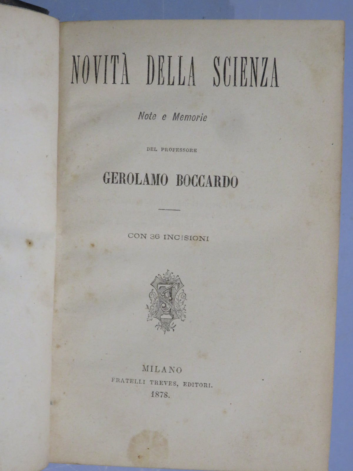 50510684