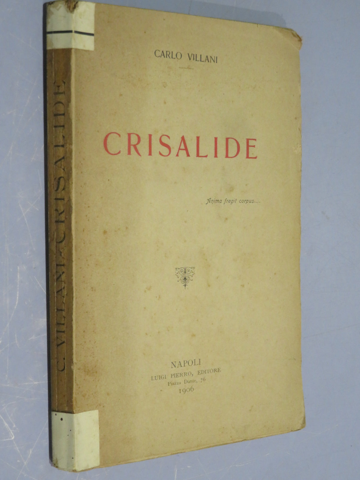 50510689