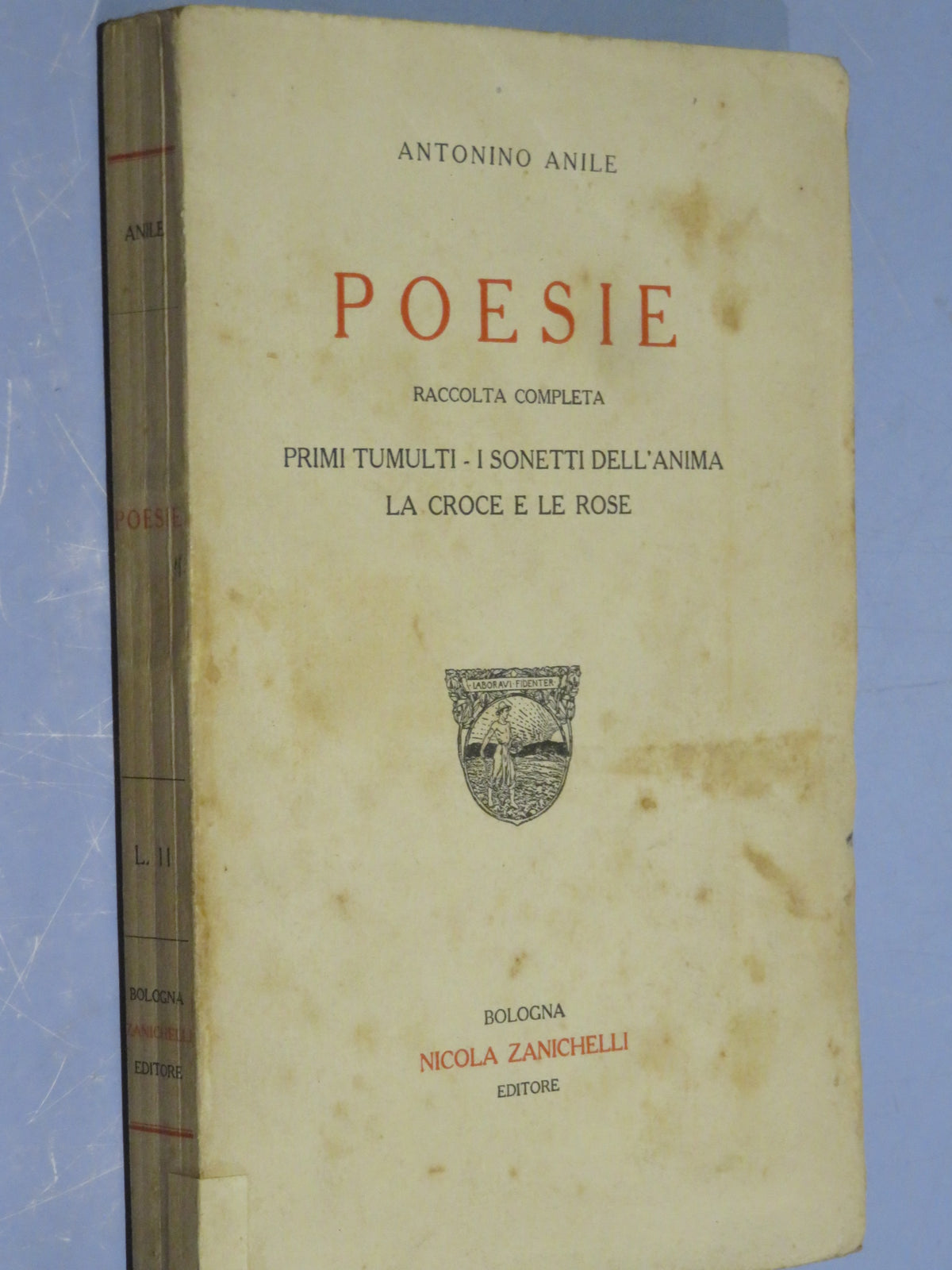 50510853