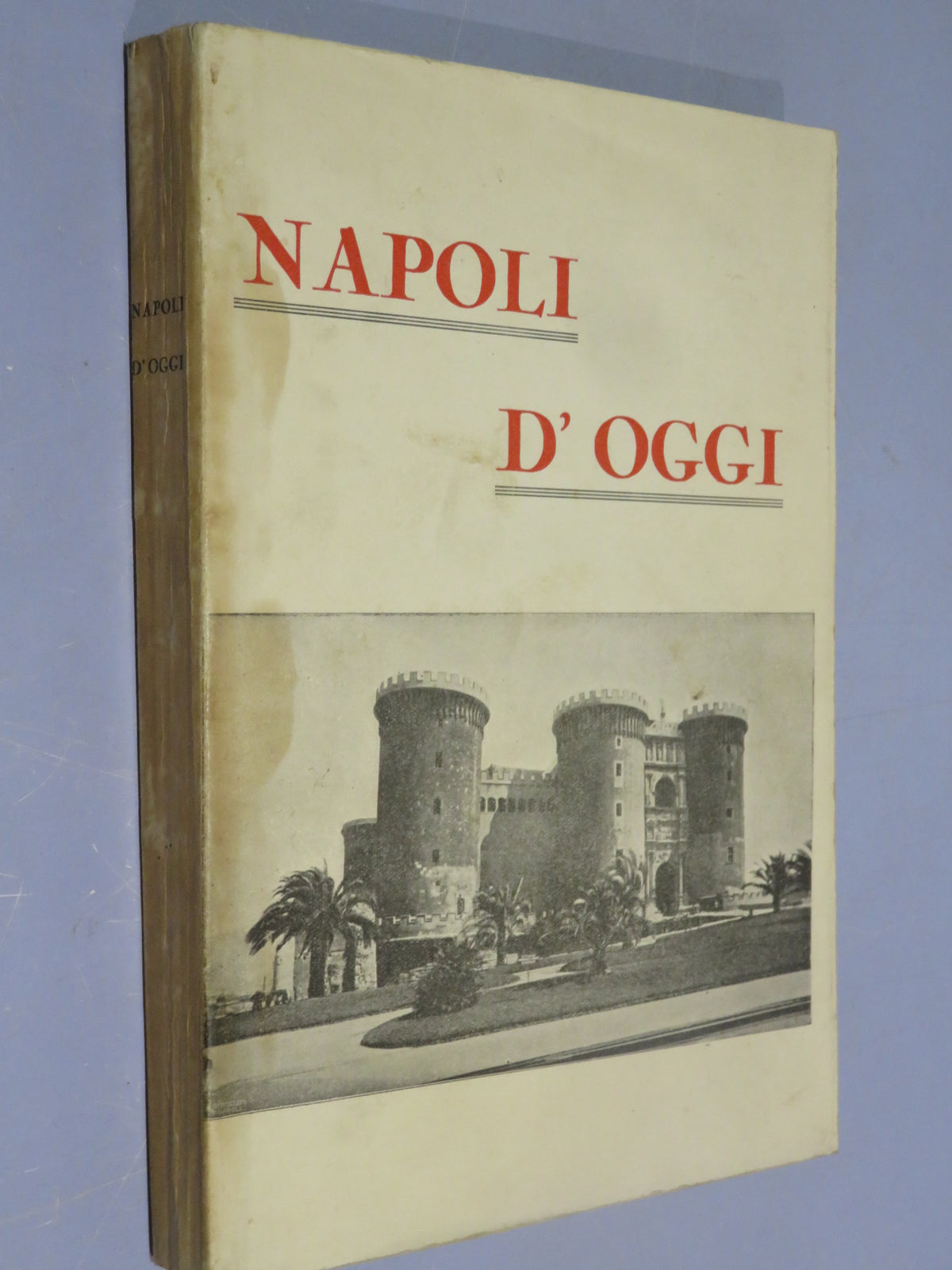 50511036