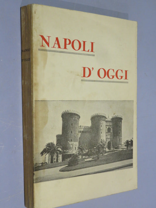 50511036