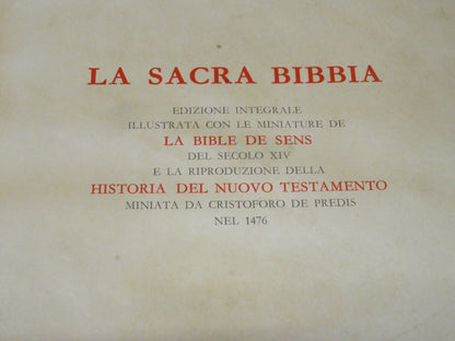 50798767