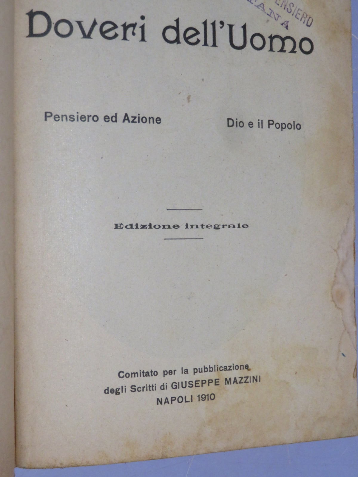 51067405