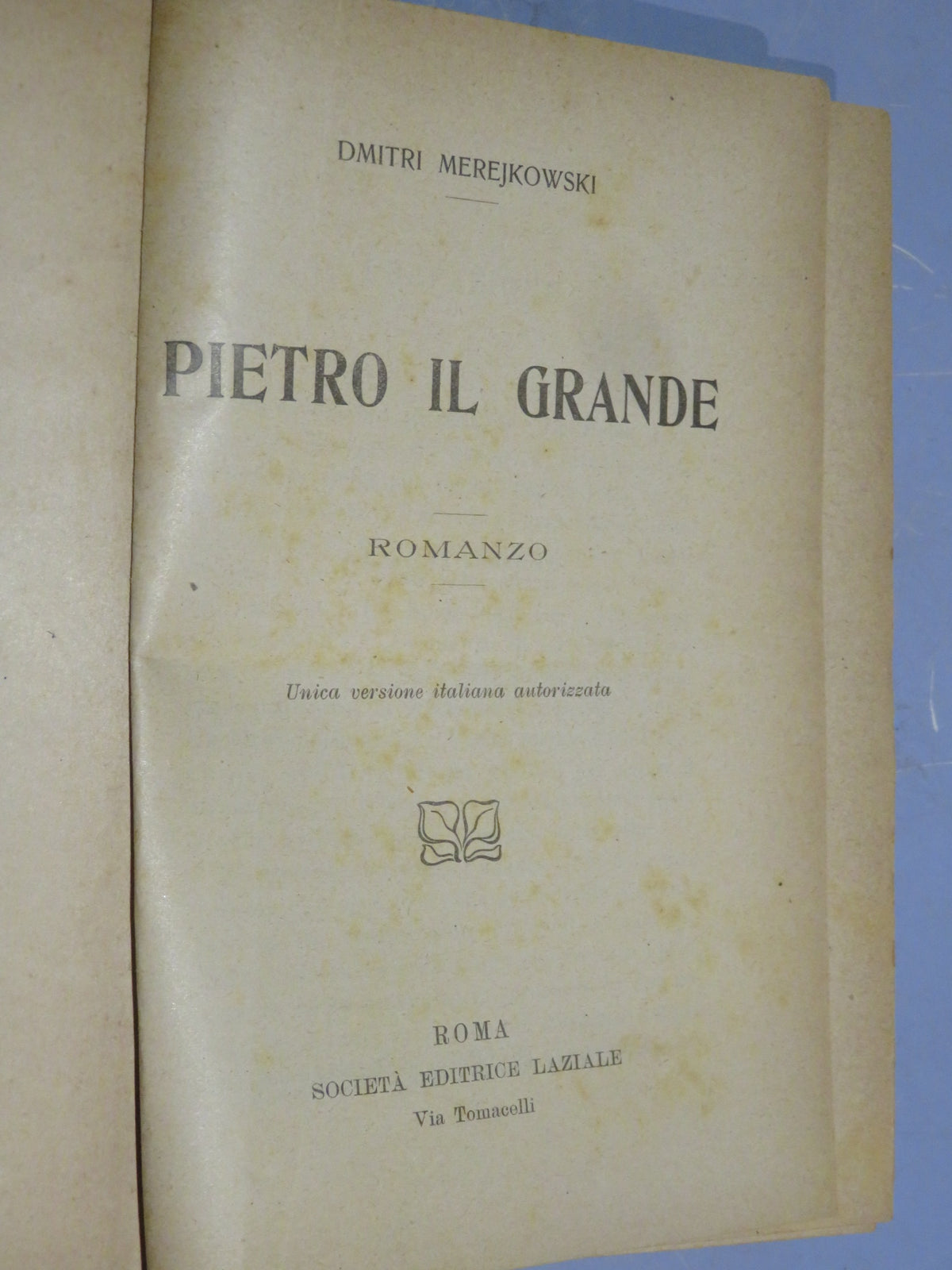 51067831