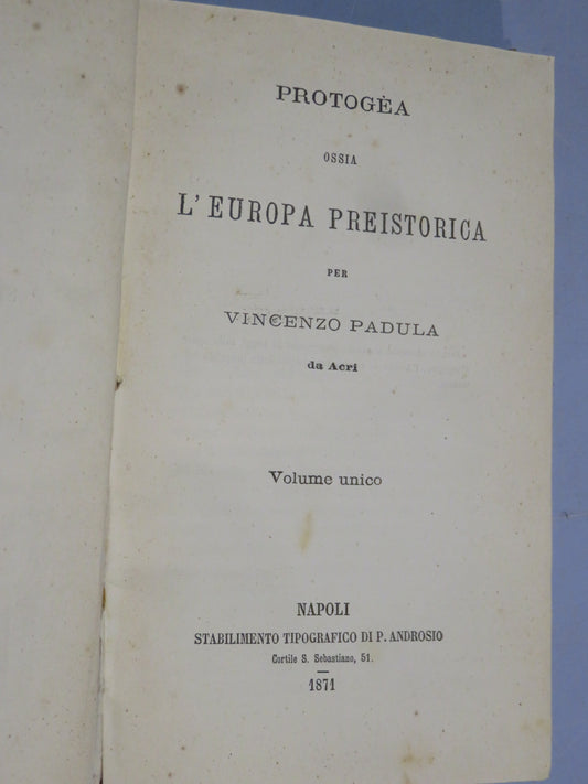 51064909