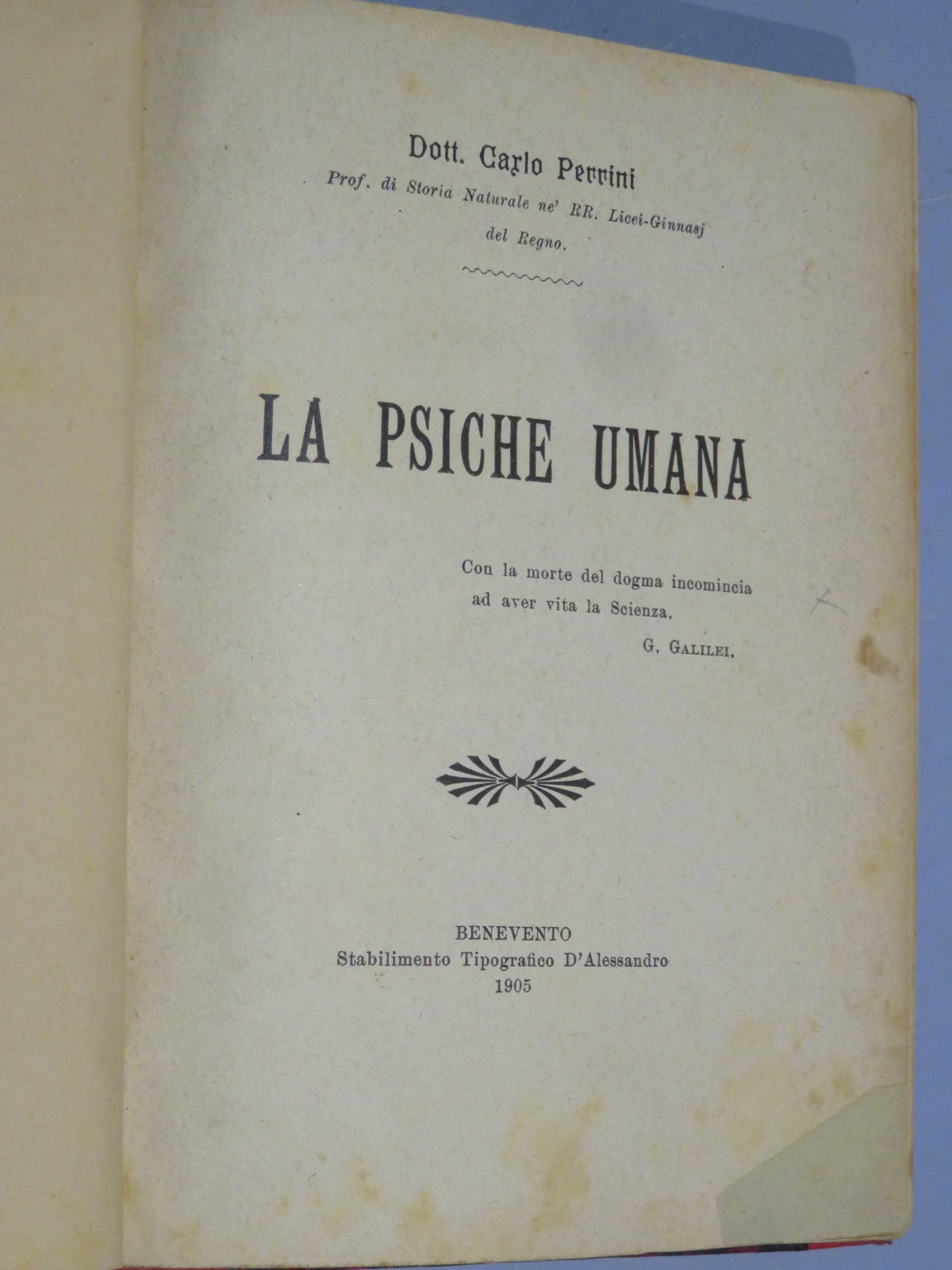 51264691