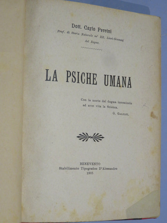 51264691