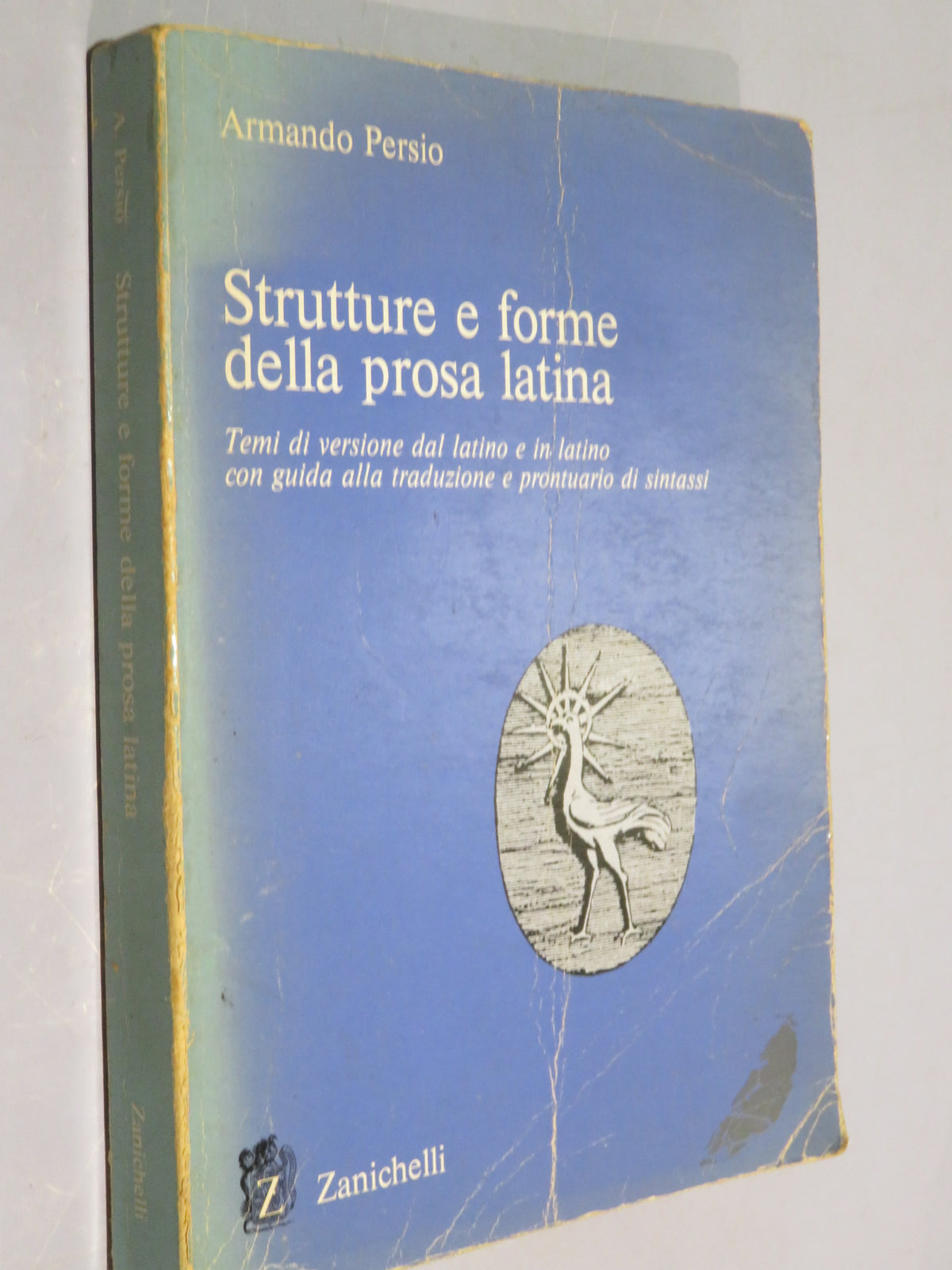 51264904