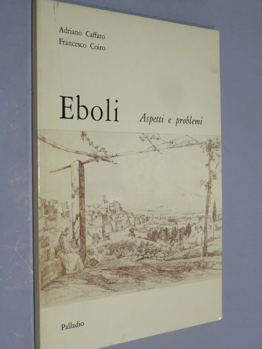 51264903