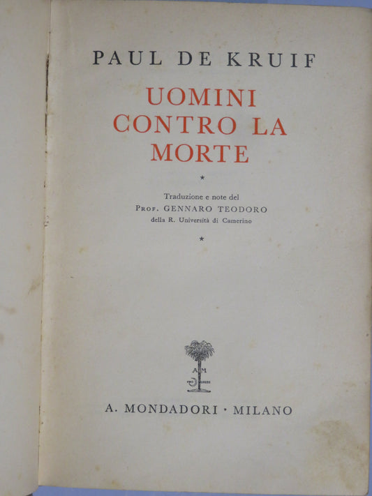 51264927