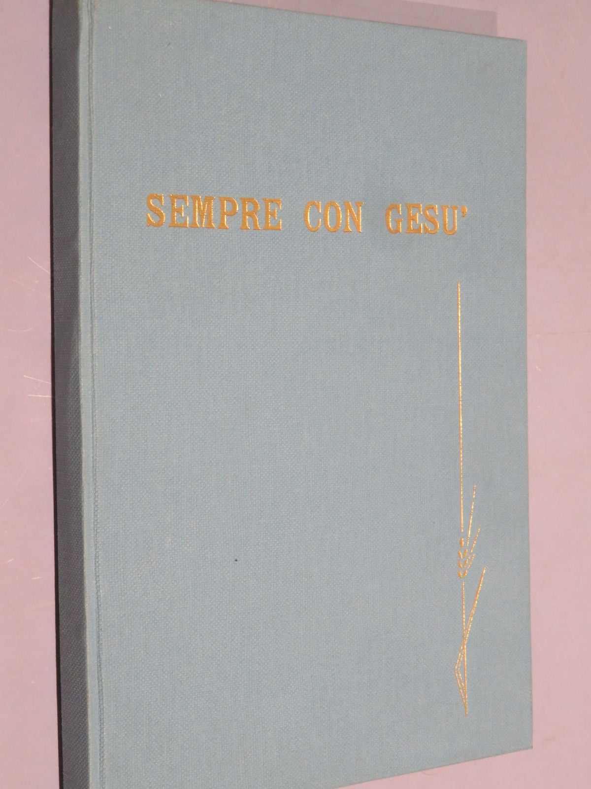 51287246